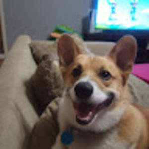 Meet your Posher, Elisa